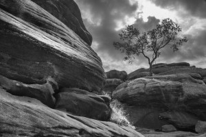 Different Perspectives Photo Walk