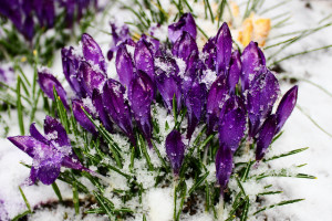 6899384932_4db993af3a_z