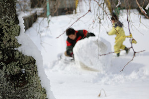 8457343507_b6c2f13e19