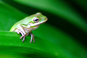 8607310734_e1410084f0_z