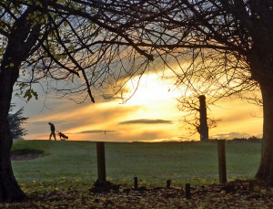 8194475098_c9e57a1d8d_z