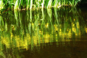 14245901081_8ee5baba7c_z