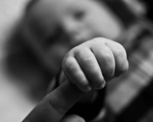 5358231677_e89a39f03e_z